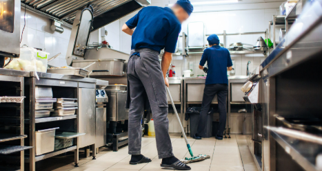 How to Keep Your Kitchen Pest-Free All Year Round